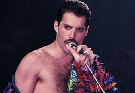 freddie mercury gay|Primeira namorada de Freddie Mercury sacou que ele era gay。